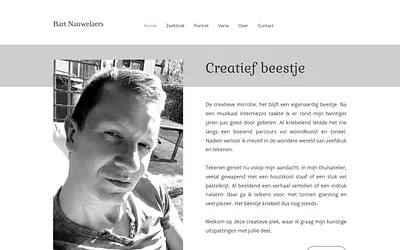 bartnauwelaers.be snapshot