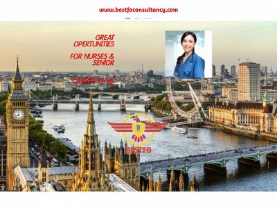 www.bestfoconsultancy.com snapshot