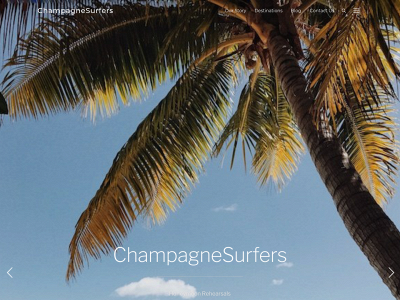 champagnesurfers.com snapshot