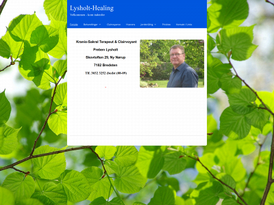 lysholt-healing.dk snapshot
