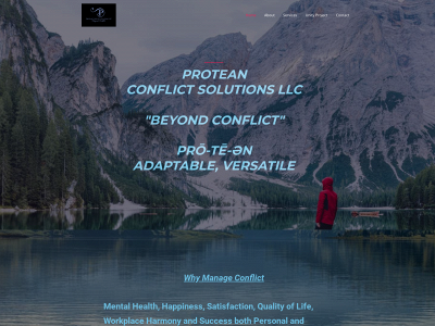 proteanconflictsolutionsllc.com snapshot