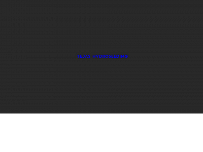 tejashydroseeding.com snapshot