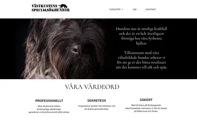 vkssh.se snapshot