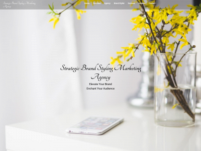 strategicbrandstyling.com snapshot