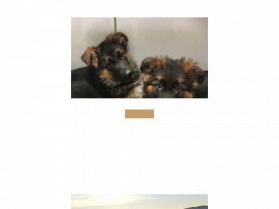 vitohundepensjon.no snapshot