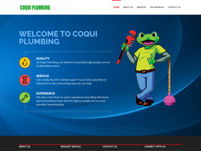coquiplumbing.com snapshot