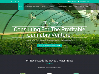 mtneser.com snapshot