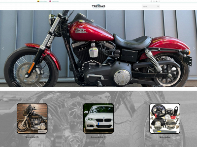 treidas.com snapshot