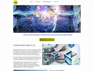 soltradegroup.com snapshot