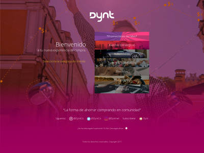 dynt.co snapshot