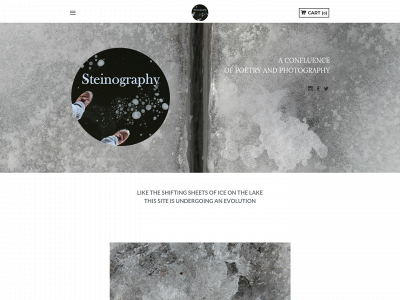 www.steinography.com snapshot