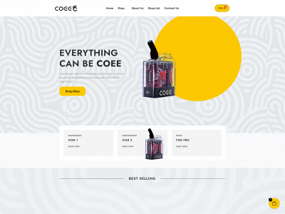 coeemyanmar.com snapshot