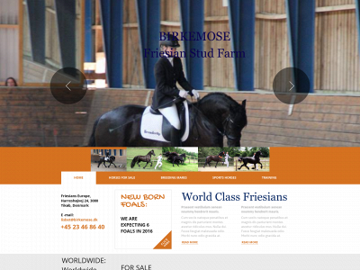 friesians-europe.com snapshot