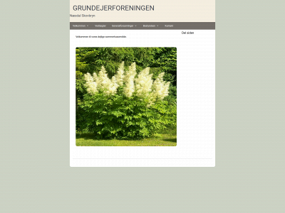 naesdal-skovbrynet.dk snapshot