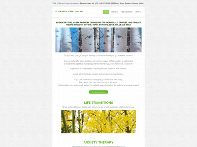 www.elizabethstahlpsychotherapy.com snapshot