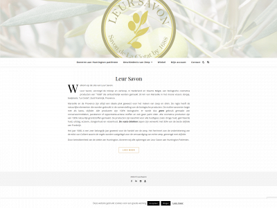 leursavon.nl snapshot