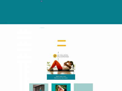 lesvaillantesollignoises.be snapshot