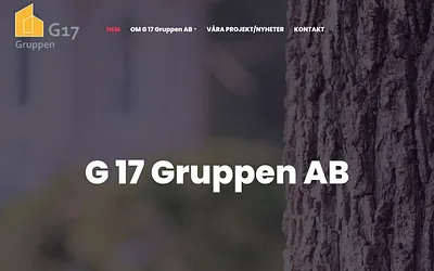 g17gruppen.se snapshot