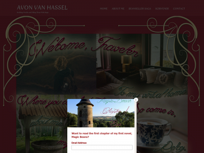 avonvanhassel.com snapshot