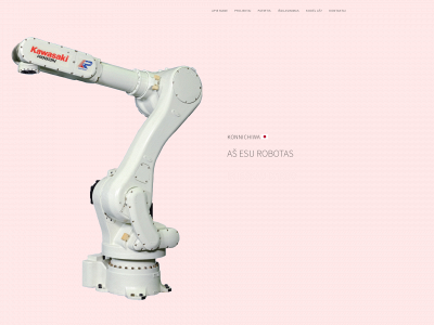 robotasieskodarbo.lt snapshot