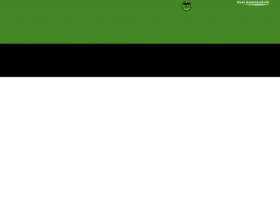 kbtrepca.de snapshot