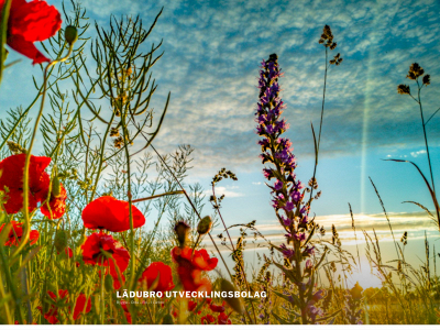 ladubro.se snapshot