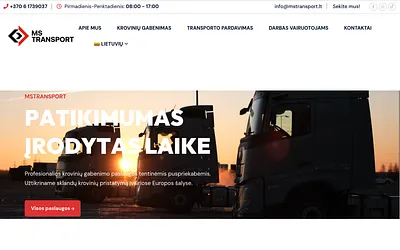 mstransport.lt snapshot