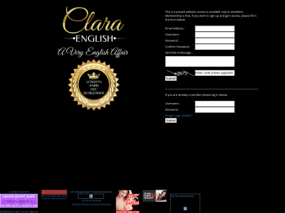 claraenglishcompanion.com snapshot