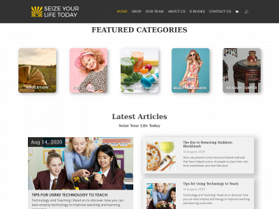 seizeyourlifetoday.com snapshot