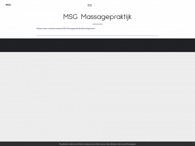 msgmassagepraktijk.nl snapshot