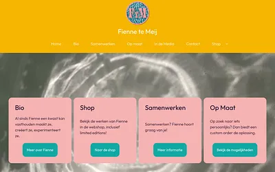 fiennetemeij.com snapshot