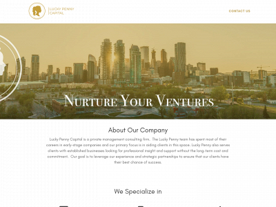 luckypennycapital.com snapshot