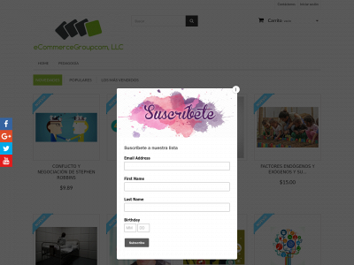www.ecommercegroupcom.store snapshot