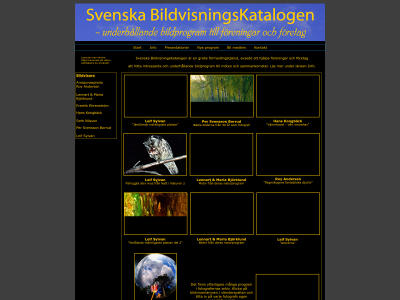 bildvisning.com snapshot
