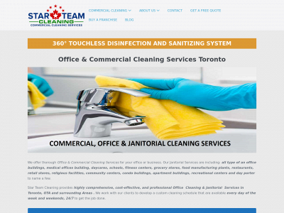 starteamcleaning.com snapshot
