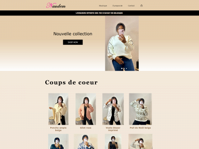 naudem.be snapshot