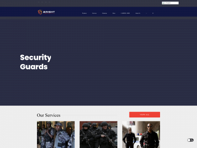 brightprivatesecurity.com snapshot