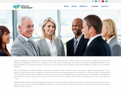 truewaytechnologies.com snapshot