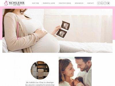 pregnancylawyer.com snapshot