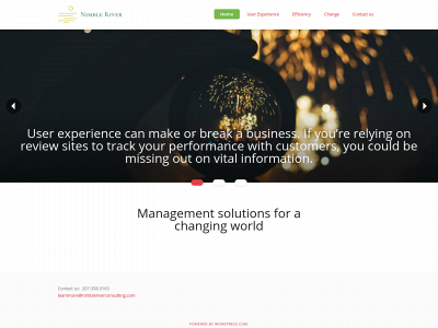 nimbleriverconsulting.com snapshot