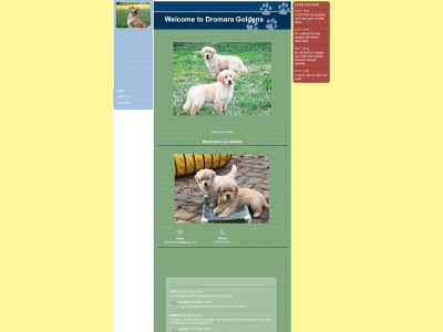 dromaragoldens.com snapshot
