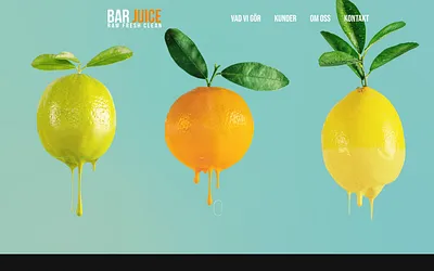barjuice.se snapshot