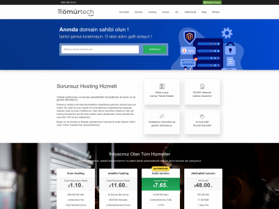omurtech.com snapshot