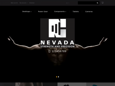 nevada-sp.com snapshot