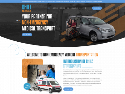 chileholdings.net snapshot