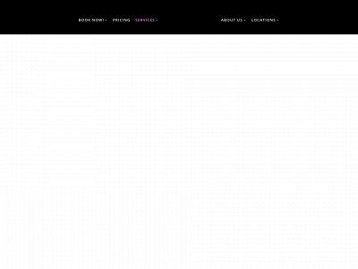 vanitylashlounge.com snapshot