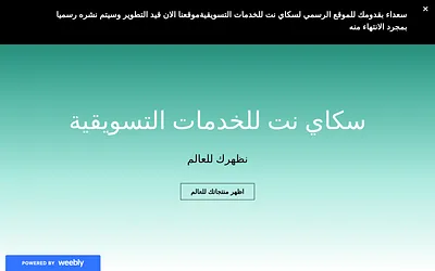 skynet-company.weebly.com snapshot