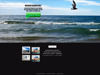 michiganmagnificence.com snapshot