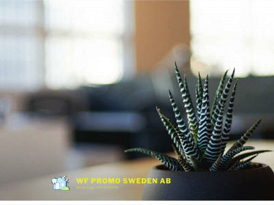 wfpromo.se snapshot
