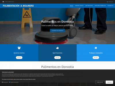 www.pulimentacionamolinero.es snapshot